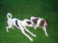 click for a larger view